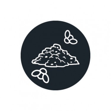 Insecticida mosca del sustrato